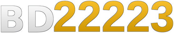 bd22223 লোগো